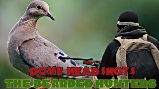 Dove Hunting | Headshots | The bearded Hunters | Hunting 2023