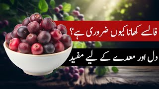 Dr. Kashif: Health Benefits of Black Currant | Falsay kay Fayde