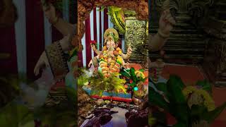 पुढच्या वर्षी लवकर या! ganpati bappa morya #like #ganpatibappamorya