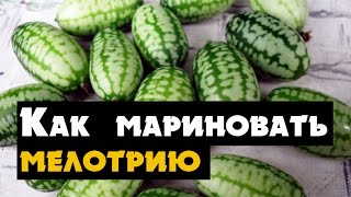 Как солить в банках африканский огурец маринуем мелотрия