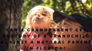 Can a Grandparent Get Custody of a Grandchild Against a Natural Parent in Florida?