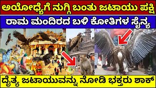 ಅಯೋಧ್ಯೆಯಲ್ಲಿ ವಾನರ ಹಾಗೂ ಜಟಾಯು ಸೈನ್ಯ ಎಂಟ್ರಿ | jatayu in ayodhya | monkeys in ayodhya #ayodhya #jatayu