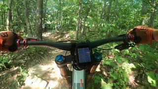 8/5/20 MOUNTAIN CREEK BIKE PARK : BUSHWACK - WATERBOY -LOWER RIPPER