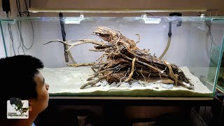 The Ultimate MALAYSIA Aquascape (Hardscape)  水草硬景 #1