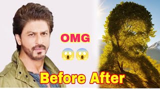 Illusion Diffusion | Viral Photo Editing Tutorial | Trending tree Face | hugging Face