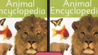 ANIMAL Encyclopedia -DK Publishing-DIGITAL Library by:087728733575-085724265515(Julius Sutrisno)