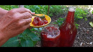 How to make strawberry jam and syrup:Strawberry jam and syrup#food #asmr #cooking #recipe #nature