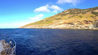 Samson fishing South Australia Coffin Bay