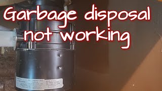 Garbage disposal repair. #shorts  #diy  #handyman