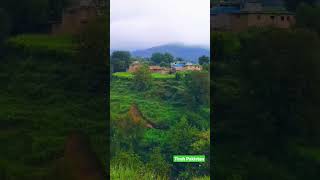 Wadi Tirah | Tirah Maidan | Beautiful Pakistan | My Day