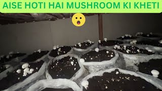 Mushroom Ki Kheti Wo Bhi Aise