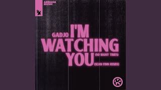 I'm Watching You (So Many Times) (Sean Finn Remix)