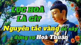 Lục Hoà Là Gì? Nguyên Tắc Vàng Để Xây Dựng Sự Hòa Thuận Theo Phật Giáo| Vi Pháp Diệu Âm