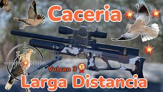 Espectacular ‼️Caceria de huilota con pcp Vulcan 3 cal .25 a largas distancias 💥