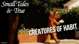 Small Tales & True - Episode 5 - Creatures of Habit