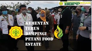 Terima Kasih Kementerian Pertanian Telah Dampingi Petani Food Estate