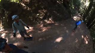 OneWheel Adventures in the Forest of Nicene Marks!