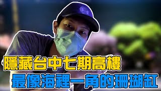 【藍箱水族】出國前的台中七期高樓的海水珊瑚缸！大海的一角！