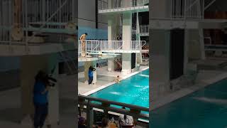 Akexandar Vitanov Eindhoven diving cup