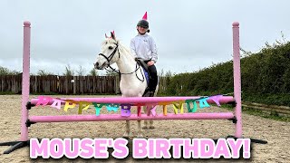 MOUSE'S BIRTHDAY VLOG! MY PONY'S BIRTHDAY PARTY