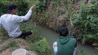 Ikan wader di sini banyak banget.!! namun banyak kendalanya..