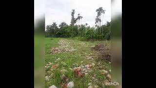 Land for Sale 7044389675🏡/Amtola/2.5lakh