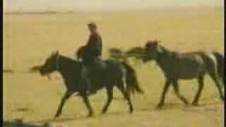 HealthPhone™ - Horses on the Steppes - Right to development