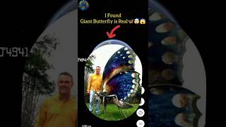 I Found Giant Butterfly is Real🦋🤯😱On Google Earth #shorts #googleearth #google #googlemaps #viral