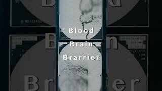 The Truth About the Blood 🩸 Brain 🧠 Barrier 🧱