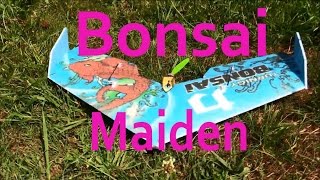 HobbyKing Bonsai RC Wing - Maiden Flight