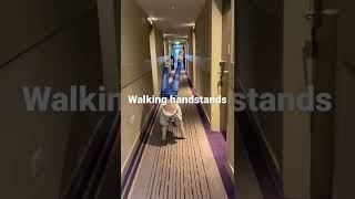 Walking handstands