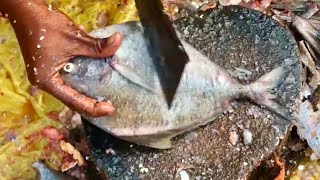 Big Black Pomfret Fish Cutting With Knife; Fish Cutting In Bangladesh Market