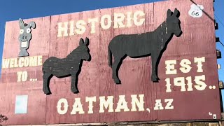 Awesome things to see in Oatman Arizona ￼