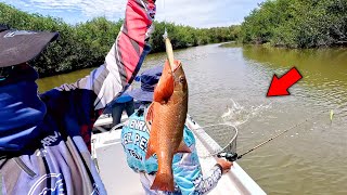 INCREIBLE ACTIVIDAD de PESCA en ESTOS MANGLARES