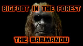 BIGFOOT IN THE FOREST - THE BARMANOU