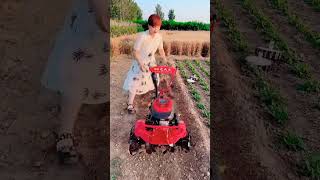 Clay harvesting machinery video please subscribe 🌚✔️