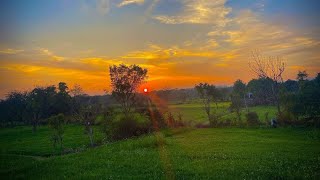 Kisan status ~ WhatsApp status farming shorts#viral #shorts 🙏🤕🤲🌾