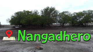 NANGEDHERO - Sekilas Desa Nangedhero