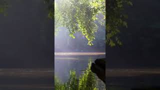 One Morning On PUNAN HULU KELAY River #shorts