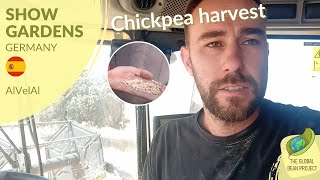 Harvesting the First Part of the Chickpeas (July 2022) – AlVelAl 🇪🇸 #4 | Global Bean Show Gardens