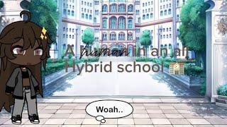 Human in an all hybrid school|GLMM🏫🐺| Part 1