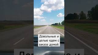 Пилим деревья по Татарстану и не только! #дача #стройка #лето #music