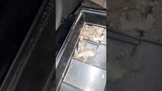 Mercedes air box air filter removal,rough idle,full of leaves and debris