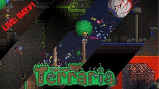 Saturdays LIVE: Day#1 of beating Terraria