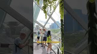 Singapore - Cloud Forest