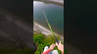 flying pike in the landing net   #viral#youtube#youtubeshorts#viralvideo#viralshorts#pike#fishing