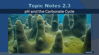 Topic Notes 2.3: pH and the Carbonate Cycle - 2019