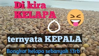 #bongkarkelapa#kangean# Bongkar kelapa dari pulau kangean || sebanyak 13rb buah kelapa.