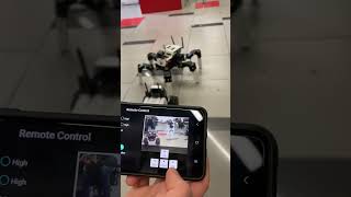 🤖MUTO - Spider Robot - Yahboom