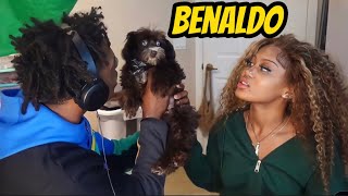 IShowSpeed names his new dog BENALDO